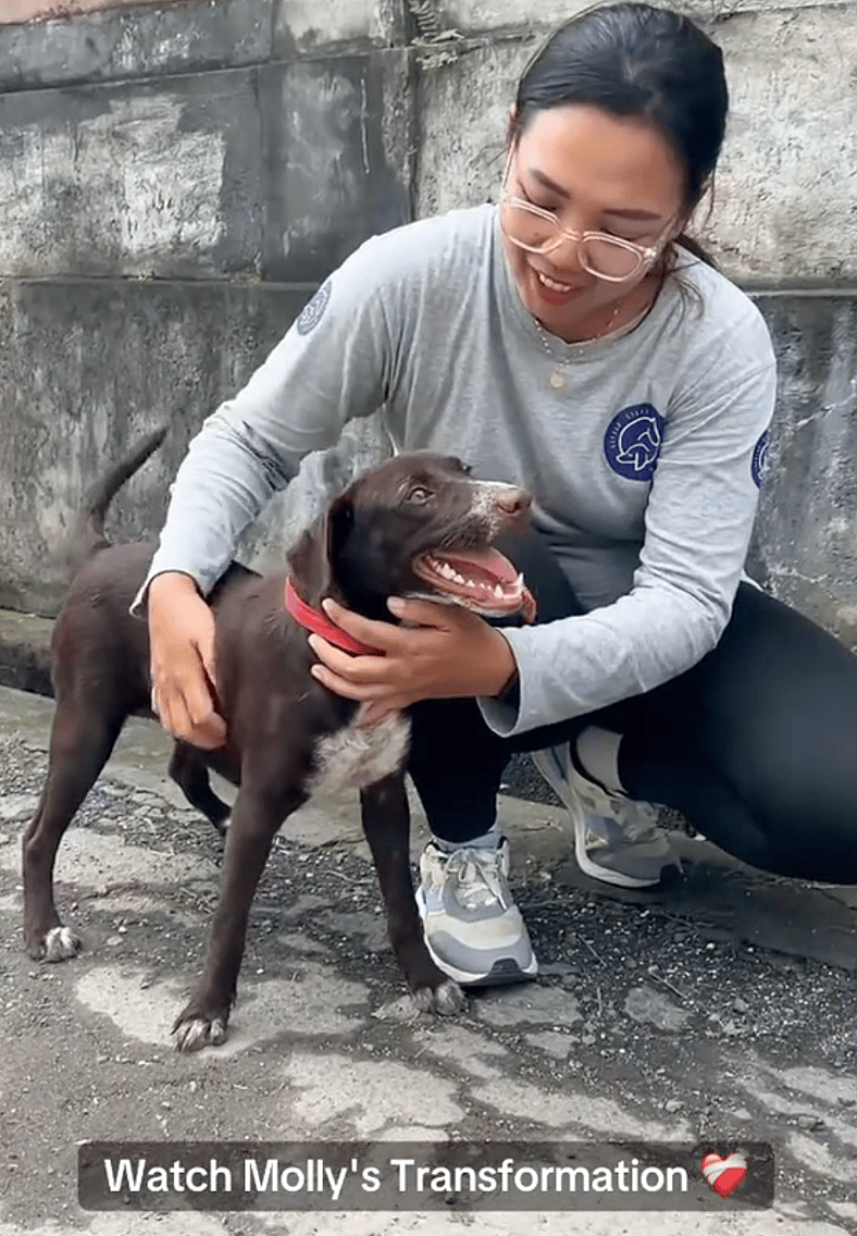 This Itchy, Mange-Ridden Dog Got a Second Chance—And Her Smile Says It All